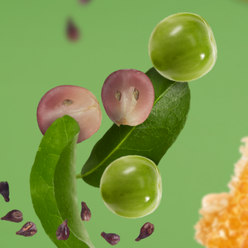 Miriam de los Angeles